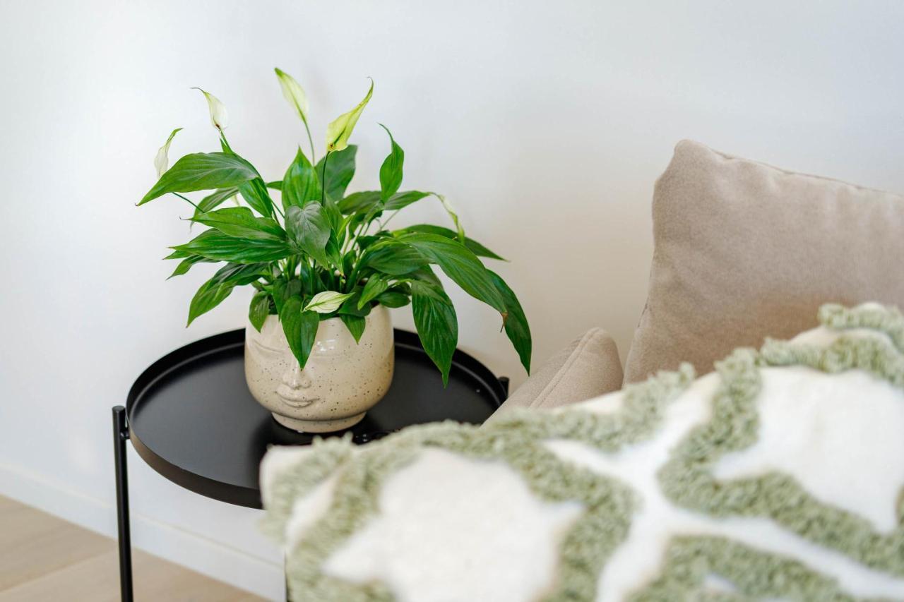 Apartment Klara Krk Town Εξωτερικό φωτογραφία